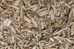 biomass boilers Farley